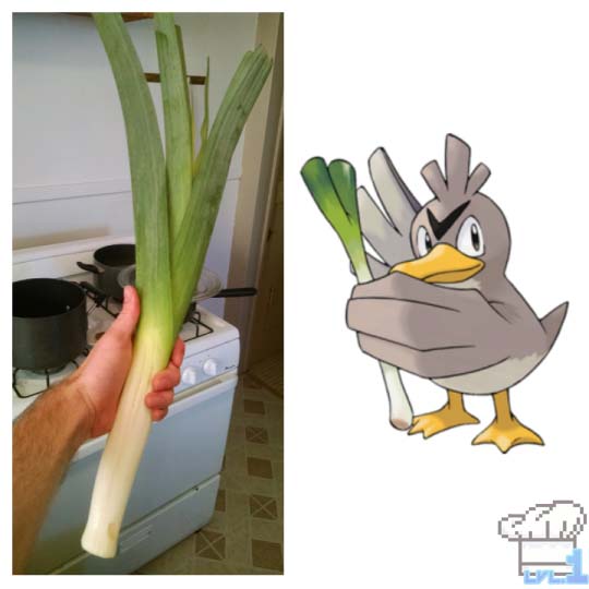 A comparison of an actual leek and a Farfetch'd Pokemon holding a leek.