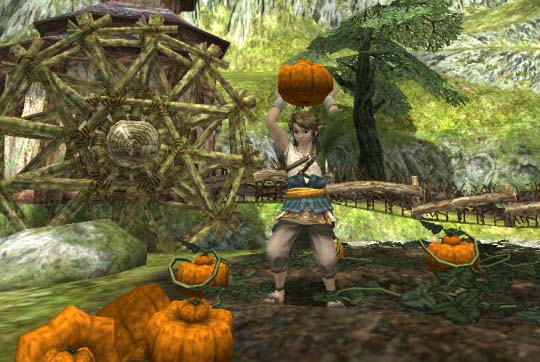 Link from Legend of Zelda Twilight Princess game series collecting pumpkins for Good Soup recipe.