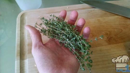 A handful of fresh thyme sprigs for the Simple Soup recipe from the Legend of Zelda Twilight Princess game series.