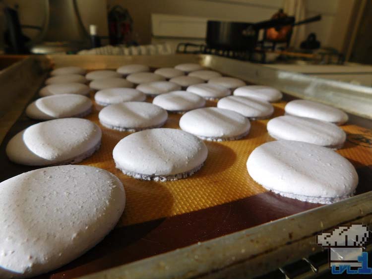Baked macaron buns cooling off from the oven, on a baking tray.