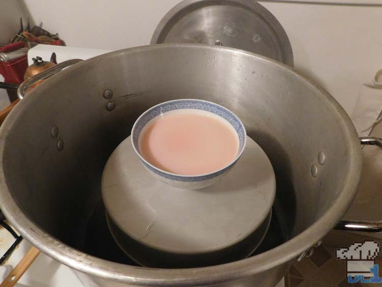 Strawberry tofu firming up in large steamer pot.