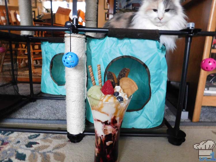 Long haired Persian cat looking at the Neko Atsume parfait with suspicion.