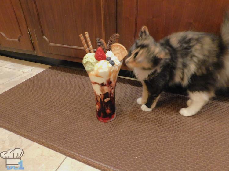 Long haired tabby kitten approaching the tasty looking Neko Atsume Parfait with curiosity.