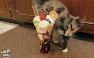 Finished ice cream parfait recipe from the Neko Atsume mobile game series.