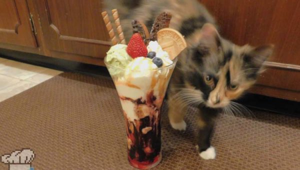 Finished ice cream parfait recipe from the Neko Atsume mobile game series.