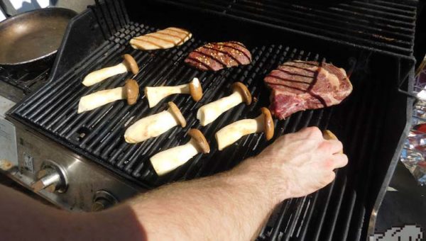 Hearty Mushrooms and Meat on the grill for the cookout themed on the Legend of Zelda Breath of the Wild game series.