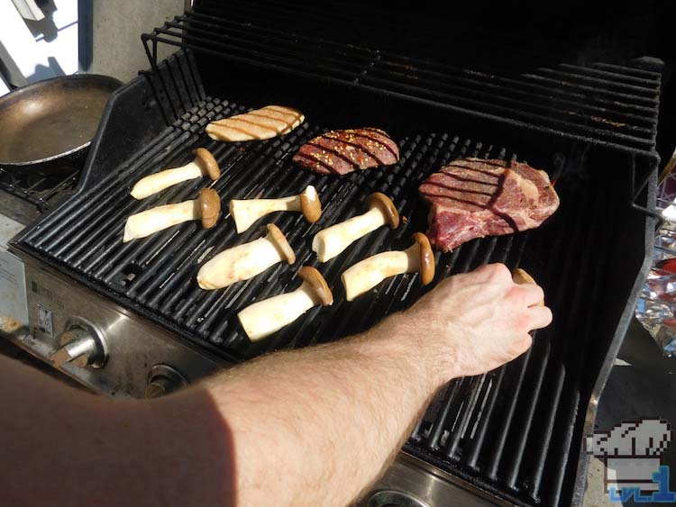 Hearty Mushrooms and Meat on the grill for the cookout themed on the Legend of Zelda Breath of the Wild game series.