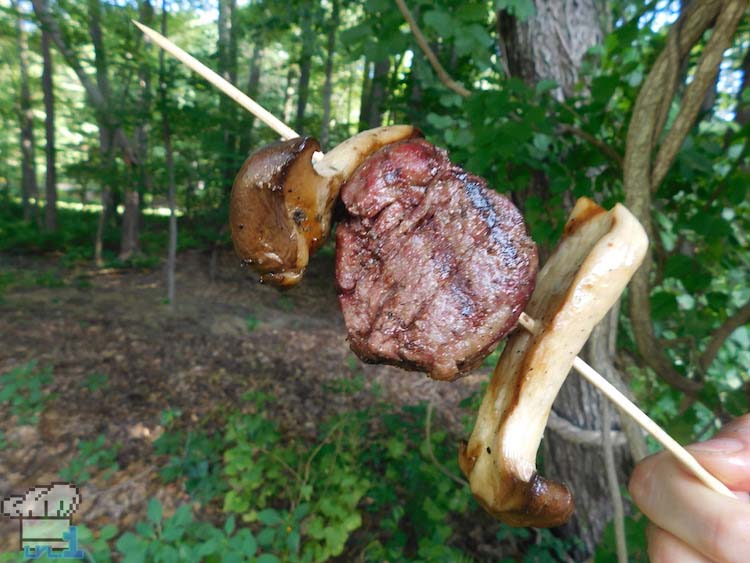 Hearty Meat and Mushroom Skewer from the Legend of Zelda Breath of the Wild game series.