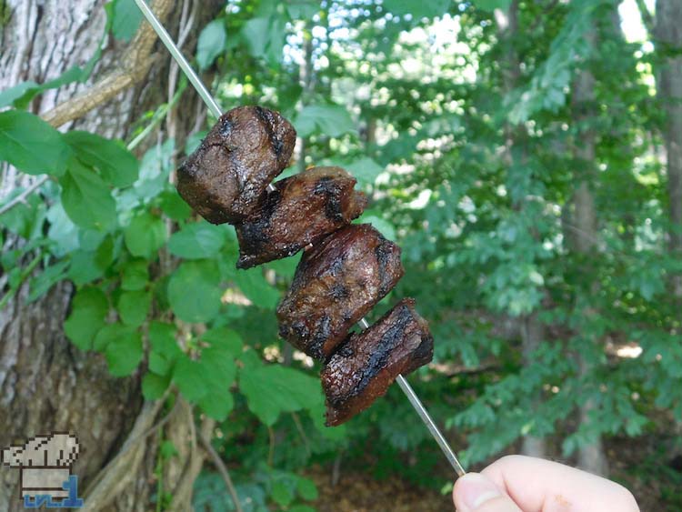 Grilled steak skewer from the Legend of Zelda Breath of the Wild game series.
