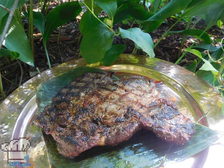 Seared steak fresh off the grill from the Legend of Zelda Breath of the Wild game series.