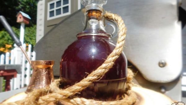Finished recipe of Spicy Elixir from the Legend of Zelda Breath of the Wild game series.
