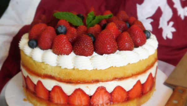 Completed strawberry frasier cake recipe from the Bravely Second End Layer game series.