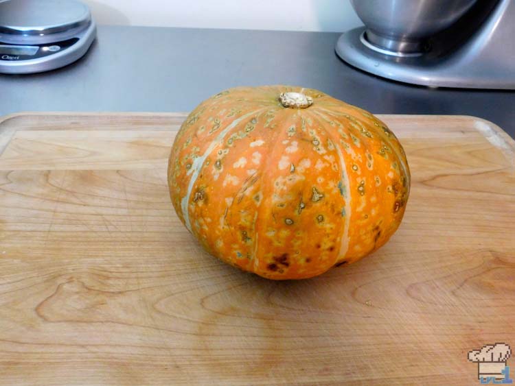 Stunning, multi-colored pumpkin awaiting being sliced and hollowed out to use as a bowl for the meat stuffed pumpkin recipe from the Legend of Zelda Breath of the Wild game series.