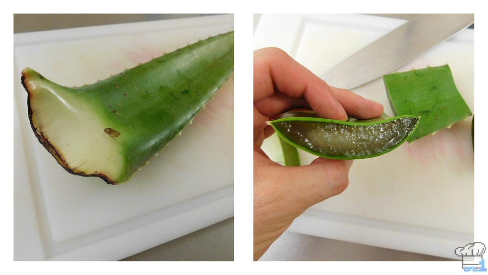 Slicing the aloe vera leaf for the Cactus Juice recipe for the Ever oasis video game.