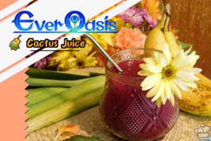 Finished recipe of the Cactus Juice from the Ever Oasis video game.