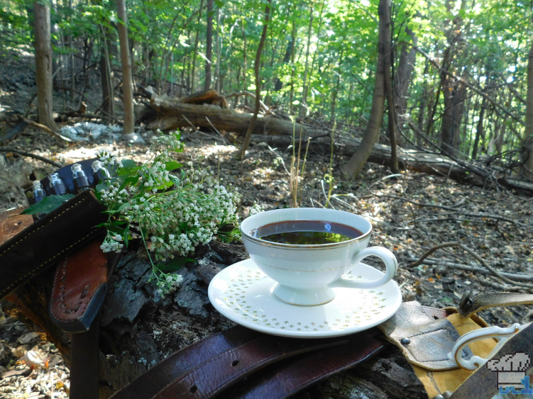 A picture of the Hi Lagaar Coffee from the Etrian Odyssey 2 Untold video game out in a forest